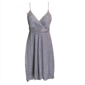 Silver Prom dress party dress (Blue Bin -12)